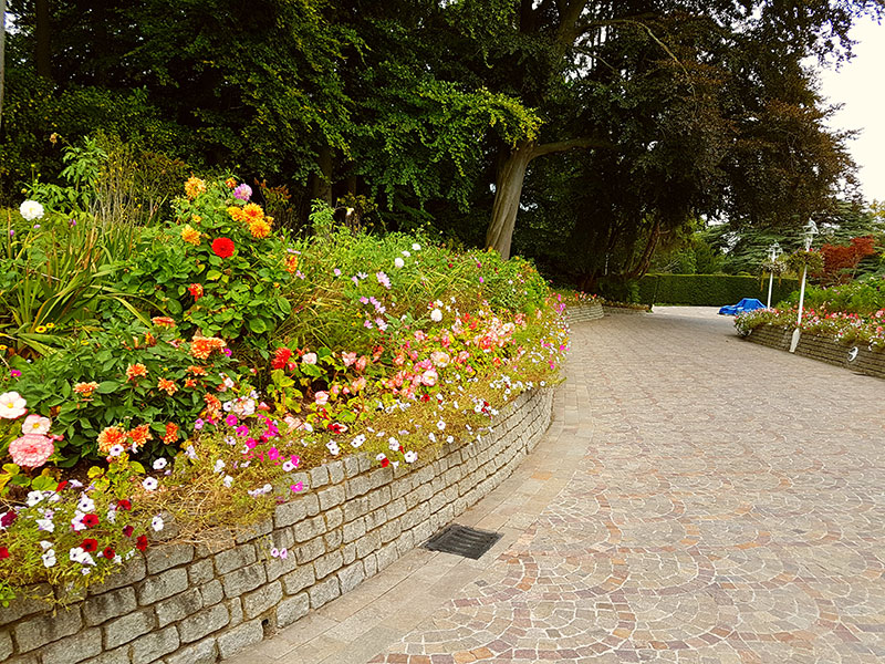 Gardening in Reigate | Gardens Revived gallery image 6