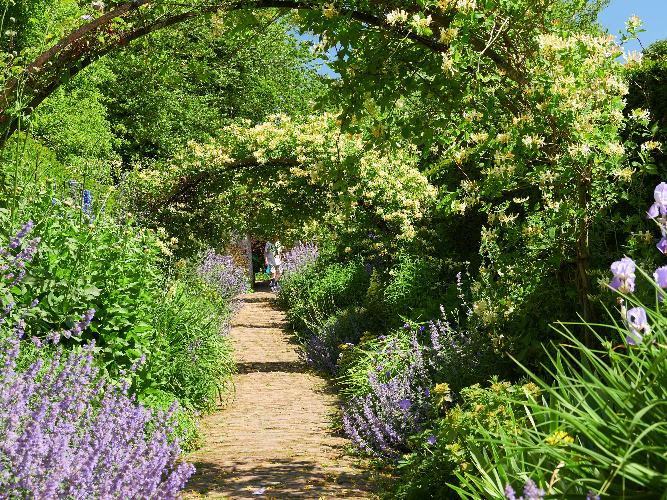 We provide a full range of gardening services for estate gardening in Reigate and throughout the Surrey area. 