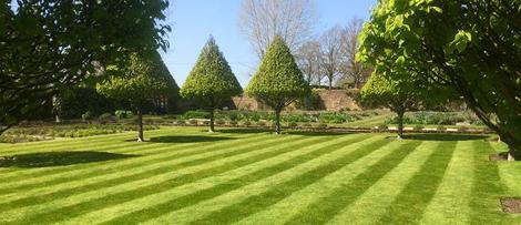 Large garden maintenance completed in Reigate