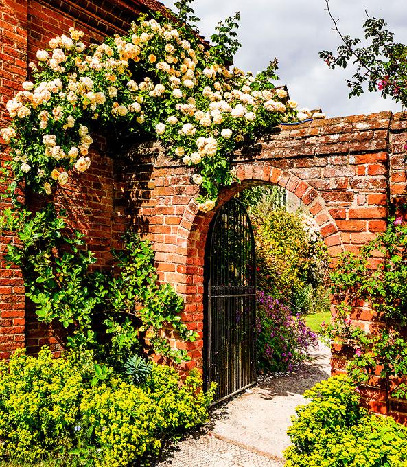 Walled garden maintenance by Gardens Revived