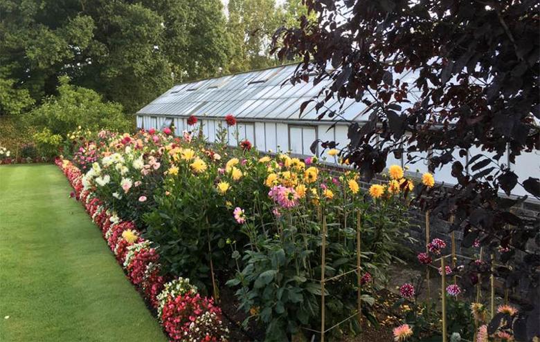 Garden estate flower bed and greenhouse in Reigate